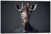 Dibond - Giraffe Zakenman in Pak - 60x40 cm Foto op Aluminium (Met Ophangsysteem)