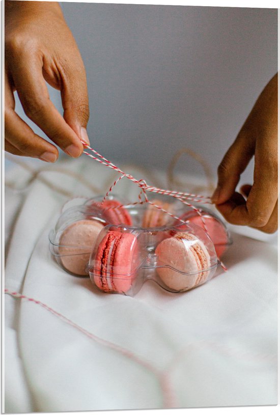 Acrylglas - Macarons in Plastic Bakje met Strik - 60x90 cm Foto op Acrylglas (Met Ophangsysteem)