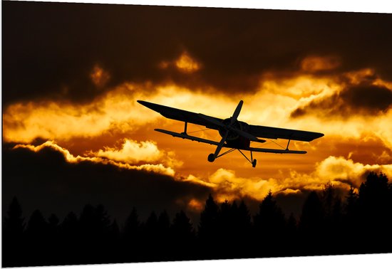 Dibond - Silhouet van Stuntvliegtuig boven de Bomen tijdens Zonsondergang - 150x100 cm Foto op Aluminium (Met Ophangsysteem)