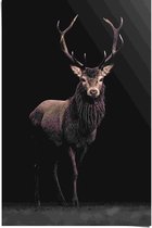 Poster Deer on Black 91,5x61 cm