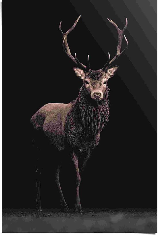 Poster Deer on Black 91,5x61 cm