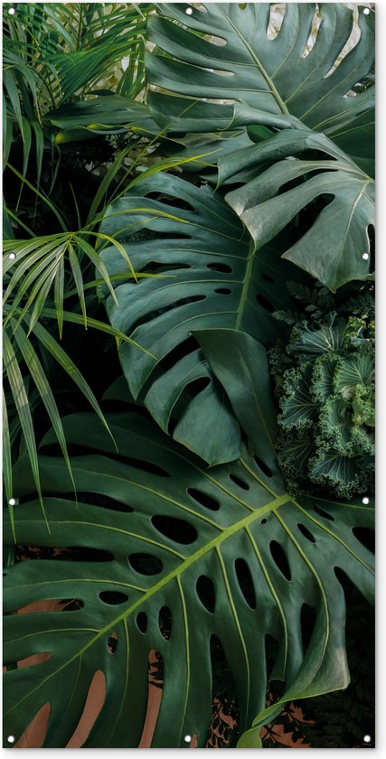 Schuttingposter Planten - Jungle - Bladeren - Tropisch - 100x200 cm - Tuindoek