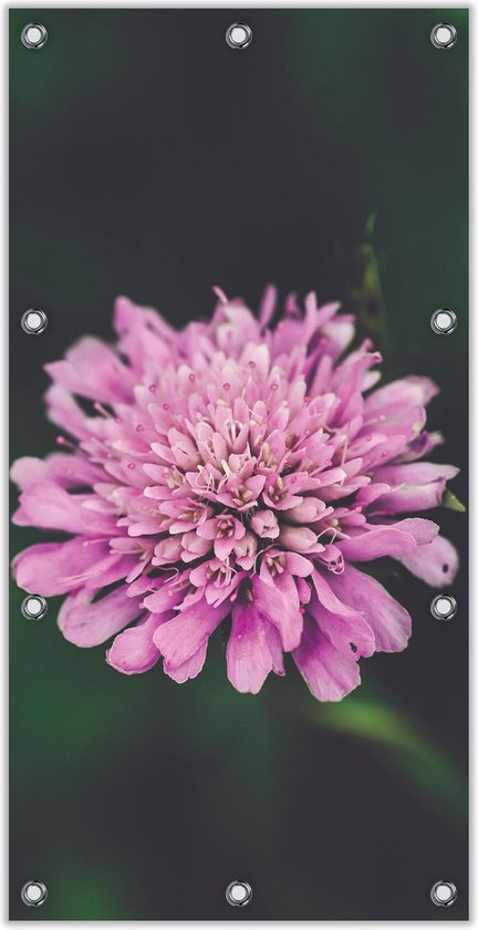 Tuinposter Roze Bloem 100x200cm- Foto op Tuinposter (wanddecoratie voor binnen en buiten)