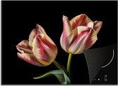 KitchenYeah® Inductie beschermer 70x52 cm - Tulpen - Bloemen - Roze - Wit - Natuur - Kookplaataccessoires - Afdekplaat voor kookplaat - Inductiebeschermer - Inductiemat - Inductieplaat mat