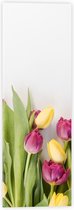 Acrylglas - Bloemen - Tulpen - Kleuren - 20x60 cm Foto op Acrylglas (Met Ophangsysteem)