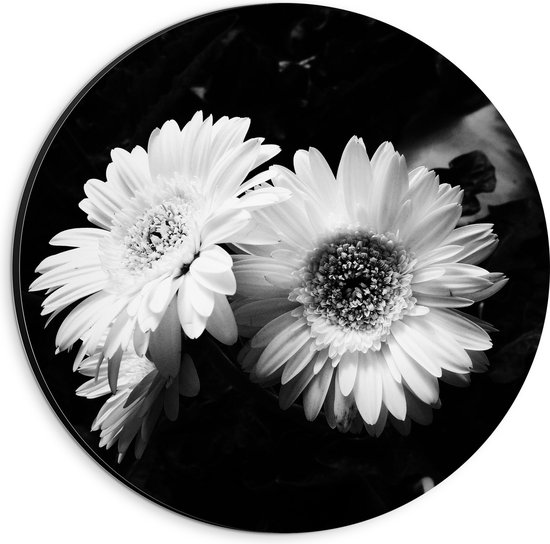 Dibond Muurcirkel - Bloemen - Natuur - Zwart - Wit - 20x20 cm Foto op Aluminium Muurcirkel (met ophangsysteem)