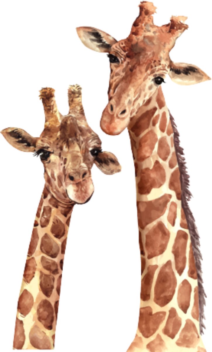 Billie en Rose - Giraffe muursticker