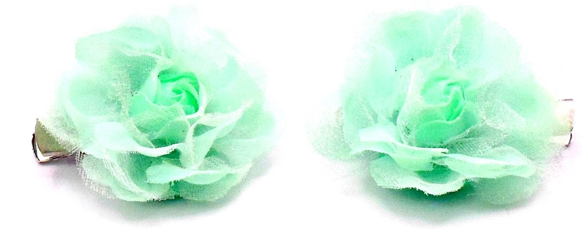 2 roosjes klein met duckklem mintgroen glinsterend