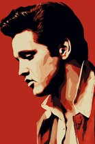 Affiche Elvis Presley | Affiche Elvis | Rock Poster | Affiche Vintage | 61x91cm | Convient pour l'encadrement