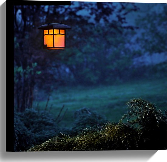 Canvas - Bomen - Bossen - Gras - Natuur - Licht - Lampje - 40x40 cm Foto op Canvas Schilderij (Wanddecoratie op Canvas)