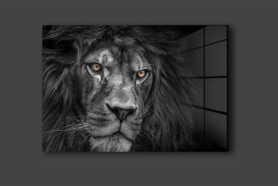 the lion schilderij op plexyglas 90x60cm