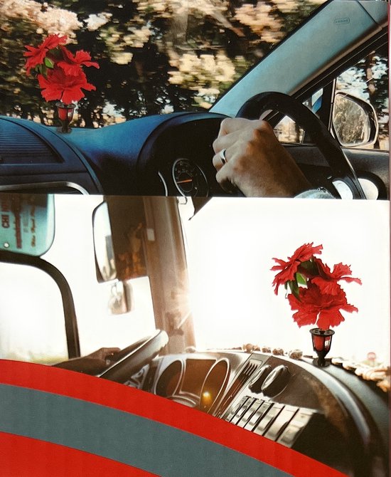 Led fleur illuminée ROUGE 12v & 24v rouge pour camion, voiture, caravane,  bateau.