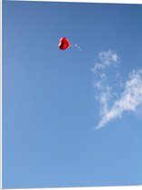 PVC Schuimplaat - Lucht - Wolken - Ballon - Hart - 60x80 cm Foto op PVC Schuimplaat (Met Ophangsysteem)