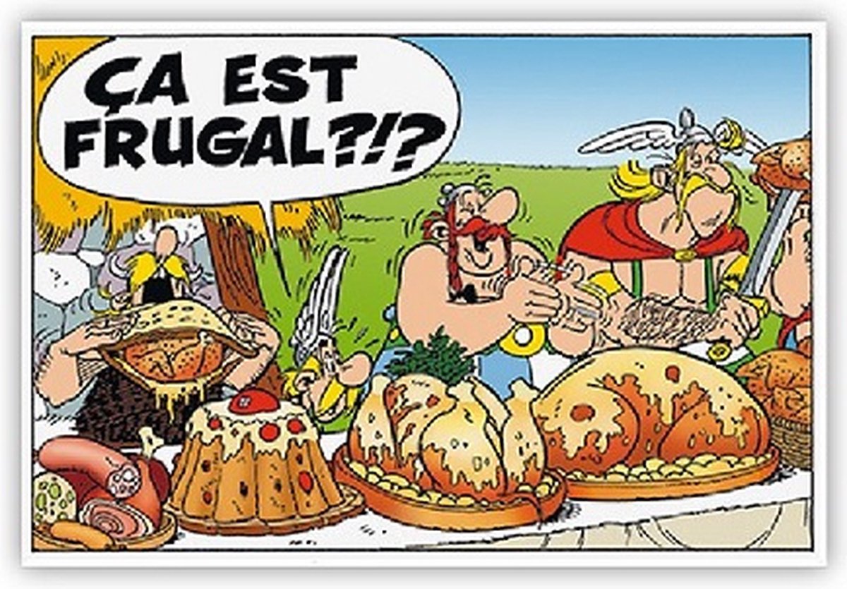 Magneet rechthoekig - Asterix en Obelix - 5,5 x 8 cm