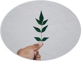 PVC Schuimplaat Ovaal - Hand - Plantje - Blaadjes - Groen - Muur - 96x72 cm Foto op Ovaal (Met Ophangsysteem)