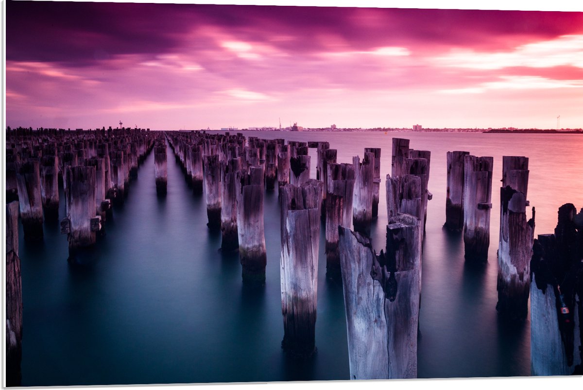 PVC Schuimplaat- Palen - Water - Hout - Zee - Kleuren - 90x60 cm Foto op PVC Schuimplaat