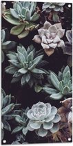 Tuinposter – Kleuren - Bladeren - Bloemen - Planten - 50x100 cm Foto op Tuinposter (wanddecoratie voor buiten en binnen)