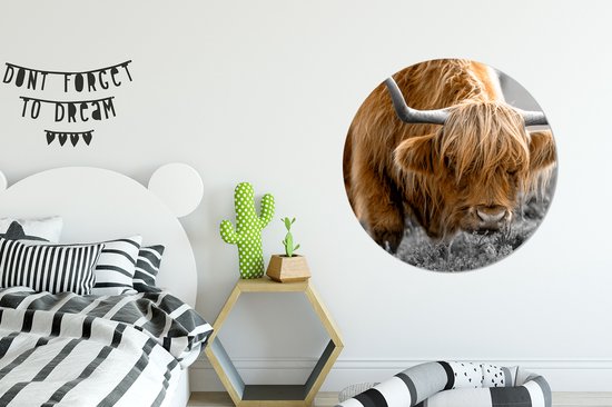 WallCircle - Cercle mural - Cercle mural - Highlander écossais - Animaux - Marron - Vache - Zwart - Wit - Nature - Aluminium - Dibond - 90x90 cm - Intérieur et extérieur