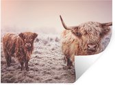 Muurstickers - Sticker Folie - Schotse Hooglanders - Sneeuw - Zon - 40x30 cm - Plakfolie - Muurstickers Kinderkamer - Zelfklevend Behang - Zelfklevend behangpapier - Stickerfolie