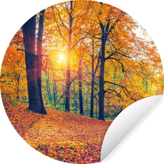 Foto: Wallcircle muurstickers behangcirkel bomen herfst bos herfstbladeren 50x50 cm muurcirkel zelfklevend ronde behangsticker