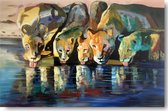 Schilderij leeuwen 90 x 60 Artello - handgeschilderd schilderij met signatuur - 700+ collectie Artello schilderijenkunst