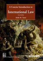 Giappichelli co-publications-A Concise Introduction to International Law