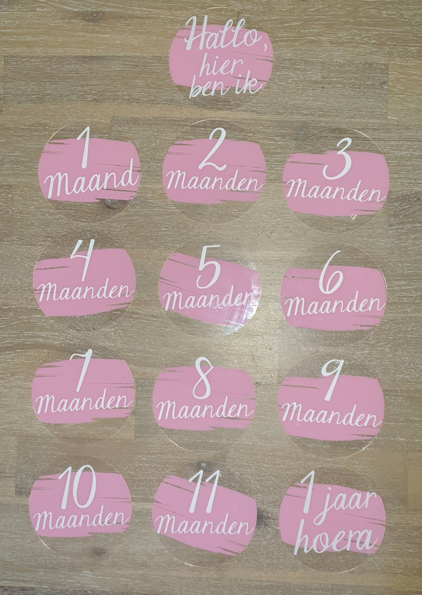 Goedkoopste Mijlpaal kaarten Acryl - Maanden set - 13 borden - baby - milestone - zwanger - kraamcadeau - babyshower - roze - hexagon
