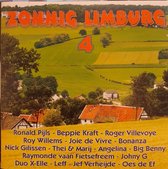 Zonnig Limburg 4