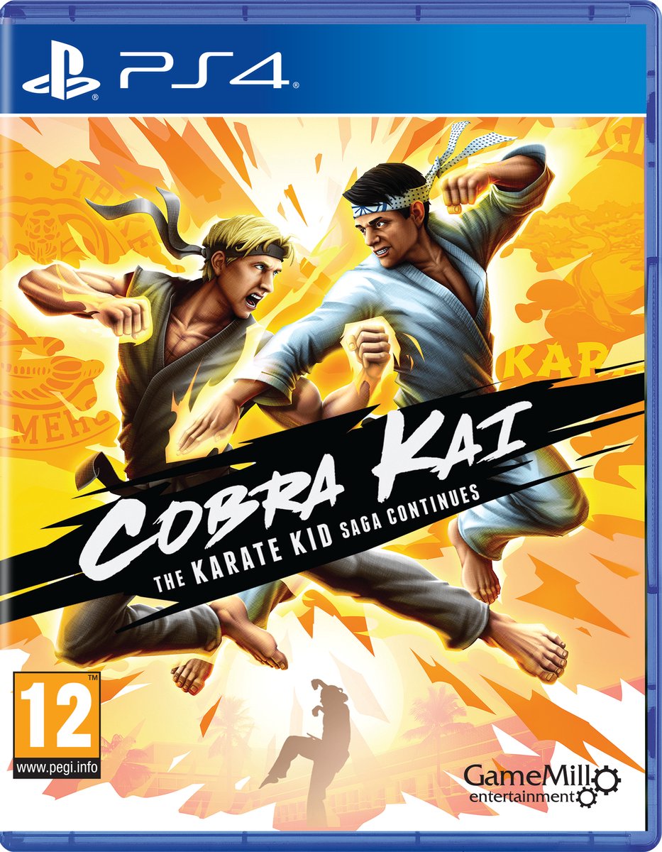 Cobra Kai: The Karate Kid Saga Continues - PS4