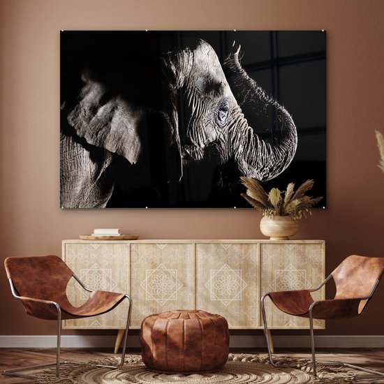 MuchoWow® Peinture sur verre 150x100 cm - Peinture sur verre acrylique - Éléphant - Zwart - Animaux - Nature - Photo sur verre - Peintures