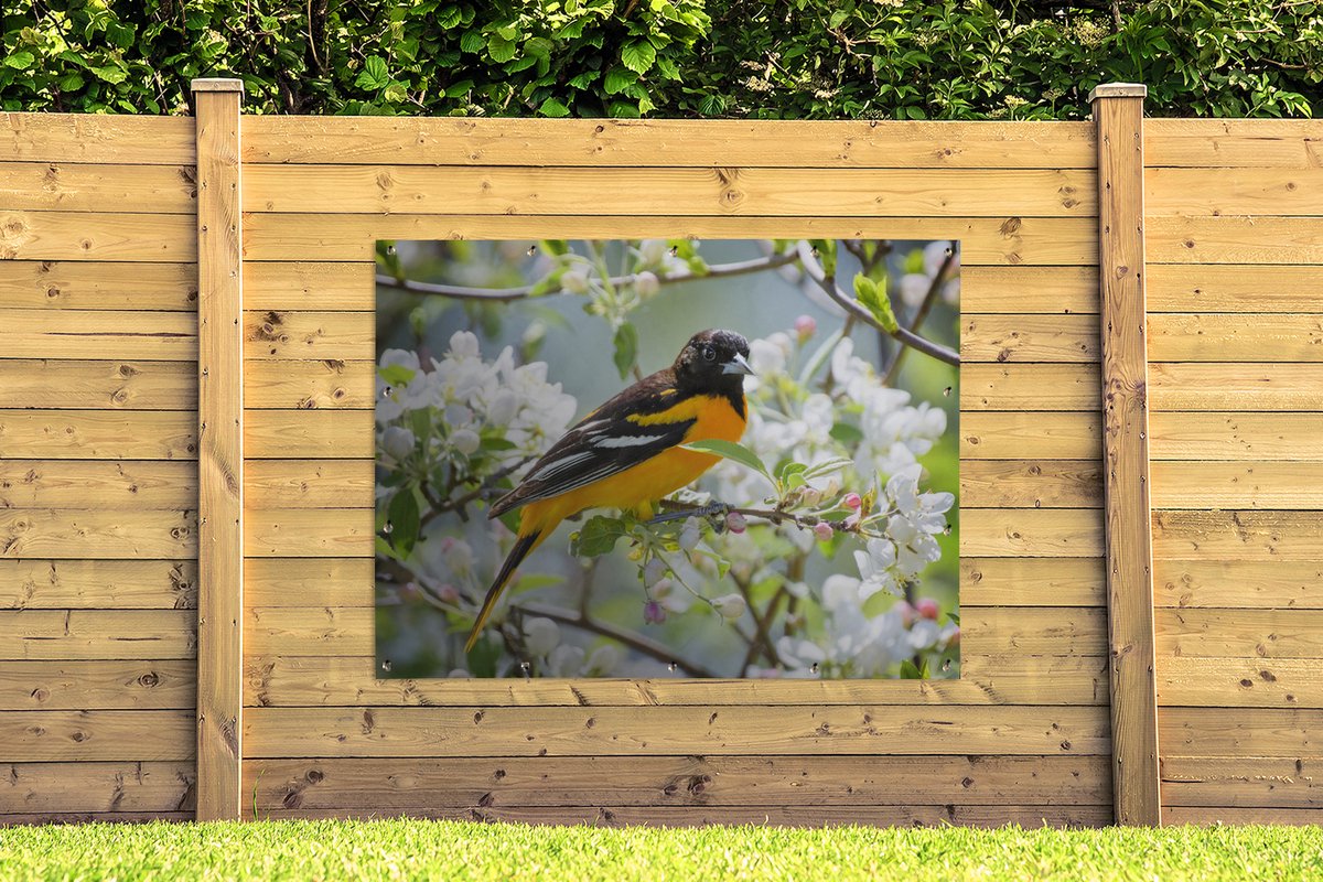 tuinposter-schutting-decoratie-tuindecoratie-vogel-bloemen