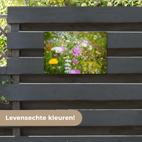 Affiche de jardin Fleurs - Nature - Vert - Herbe - Violet - Wit - 70x40 cm - Décoration murale Extérieur - Affiche de jardin - Toile de jardin - Affiche de clôture - Peinture de jardin