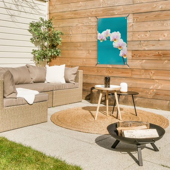 Décoration de jardin Orchidée - Fleurs - Plante - Wit - Violet - 40x60 cm - Poster jardin - Toile jardin - Poster extérieur