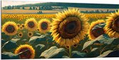 Dibond - Close-up van Zonnebloemen Omringd door Zonnebloemen in een Zonnebloemenveld - 200x100 cm Foto op Aluminium (Met Ophangsysteem)