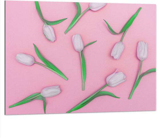 Dibond - Groepje Lichtroze Tulpen op Roze Oppervlak - 100x75 cm Foto op Aluminium (Met Ophangsysteem)