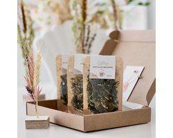 Lottea Giftset Theeproeverij 'Zomertijd' - 3 theeën & ijsthee