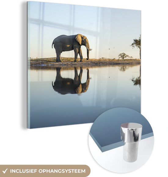 MuchoWow® Glasschilderij 90x90 cm - Schilderij acrylglas - Olifant - Water - Bomen - Dieren - Natuur - Foto op glas - Schilderijen