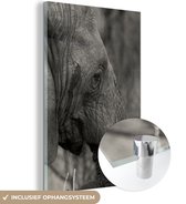 MuchoWow® Glasschilderij 80x120 cm - Schilderij acrylglas - Olifant - Dieren - Zwart - Wit - Foto op glas - Schilderijen