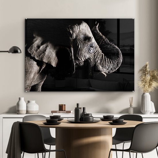 MuchoWow® Peinture sur verre - Éléphant - Zwart - Animaux - Nature - 120x80 cm - Peintures sur verre acrylique - Photo sur Glas