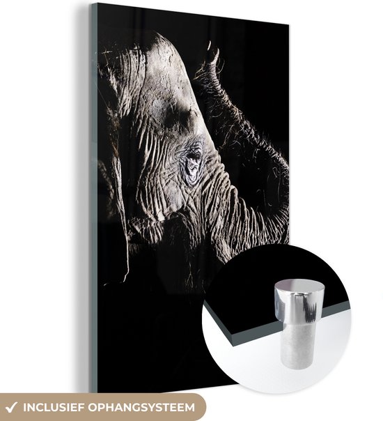 MuchoWow® Glasschilderij - Schilderij acrylglas - Olifant - Dieren - Foto op glas - Schilderijen