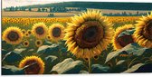 Dibond - Close-up van Zonnebloemen Omringd door Zonnebloemen in een Zonnebloemenveld - 100x50 cm Foto op Aluminium (Met Ophangsysteem)