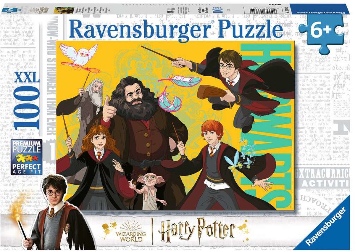 Puzzle 1000 pièces : Harry potter contre voldemort - RAVENSBURGER