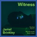 Witness: The stunning new short story collection – ‘Brinkley’s sentences are daggers’ Raven Leilani