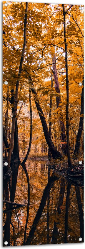 Tuinposter – Water - Beekje - Bomen - Bossen - Bladeren - Herfst - 50x150 cm Foto op Tuinposter (wanddecoratie voor buiten en binnen)