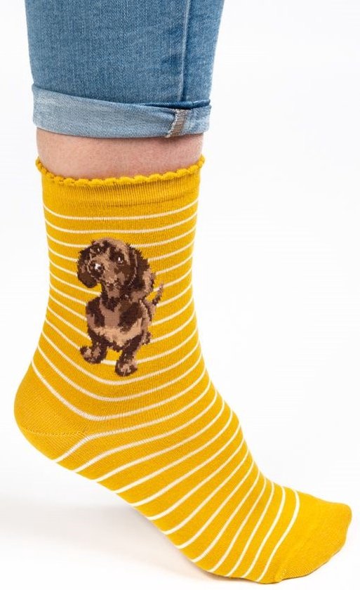 Wrendale Sokken - Teckel - 'Little One' Dachshund Socks