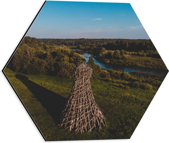 Dibond Hexagon - Water - Landschap - Bomen - Bossen - Hout - Gras - 40x34.8 cm Foto op Hexagon (Met Ophangsysteem)