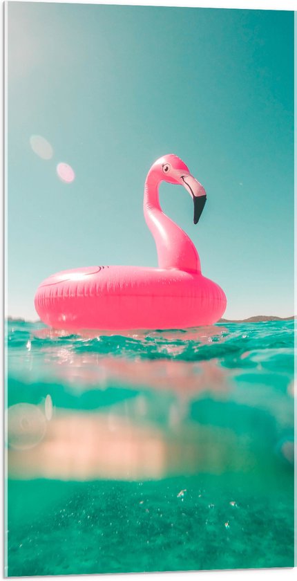 Acrylglas - Water - Blauw - Flamingo - Roze - 50x100 cm Foto op Acrylglas (Met Ophangsysteem)