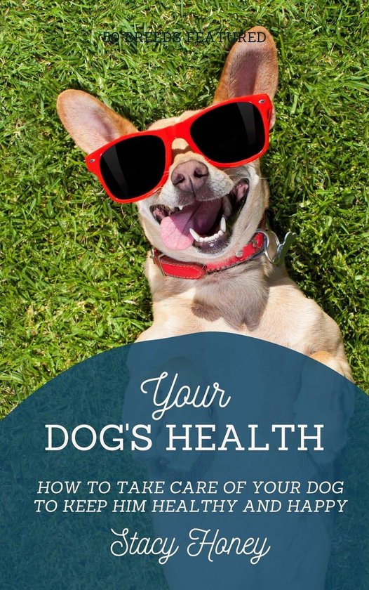 Your Dog's Health How to Take Care of Your Dog to Keep Him Healthy and