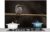 Spatscherm keuken 120x80 cm - Kookplaat achterwand Vogel - Black - Gold - Muurbeschermer - Spatwand fornuis - Hoogwaardig aluminium