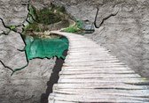 Nature Lake Path Photo Wallcovering